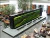 The Embassy Suites Chicago Downtown Lakefront has a 720-square-foot living wall in its sky lobby. It was installed by Ambius.