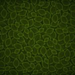 867124-pattern-wallpaper