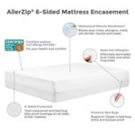 encasementgraphic