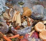 food-waste-2