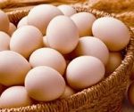 eggggg-300×1652