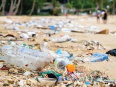 Hard Rock International & Seminole Gaming Partner with Ocean Conservancy for Second Annual Global Sound Waves Program