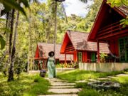 Booking.com’s Latest Travel & Sustainability Research Reveals Generational Paradox