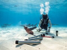 Six Senses Kanuhura Welcomes Global COASTS Project to Advance Seagrass Research in the Maldives