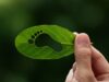 Sustainable Travel International Launches AI Tool That Measures Tour Emissions in Seconds