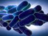 Legionnaires’ Disease Outbreak Hits NYC: What Employers Across the Country Need to Know About Prevention and Legal Exposure