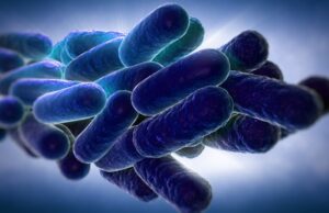 Legionnaires’ Disease Outbreak Hits NYC: What Employers Across the Country Need to Know About Prevention and Legal Exposure