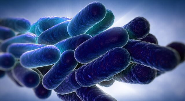 Legionnaires’ Disease Outbreak Hits NYC: What Employers Across the Country Need to Know About Prevention and Legal Exposure