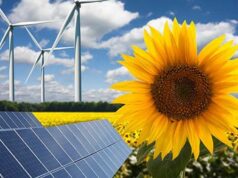 Global Leaders Urge Hospitality Sector to Unite for Collective Renewable Energy Procurement