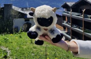 A New Chapter in Sustainability: Valais Blacknose Sheep Arrive at Six Senses Crans-Montana