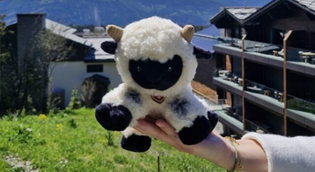 A New Chapter in Sustainability: Valais Blacknose Sheep Arrive at Six Senses Crans-Montana