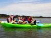 TripAdvisor Mid-Year Report: Eco Tour Bookings Rose 62 Percent