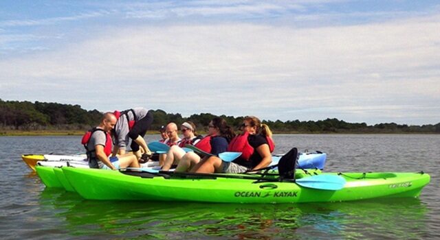 TripAdvisor Mid-Year Report: Eco Tour Bookings Rose 62 Percent