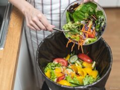 Food Waste Management in Restaurants: The Hidden Cost Your Team Can Eliminate